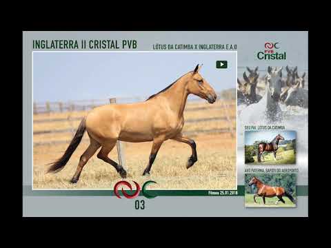 Inglaterra II Cristal PVB