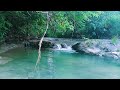 Maximize Focus with River Sounds and Soft Birdsong