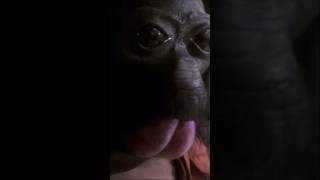 Star Wars Day Rabbit Hole (Part 2 of 23)