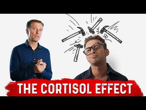 Why Stress (Cortisol) Makes You Fat (Spikes Insulin)