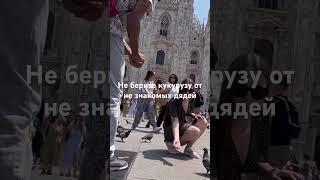 Милан мошенники. Советы #travel #journey #milan #italy #милан #италия #путешествие #лайфхаки