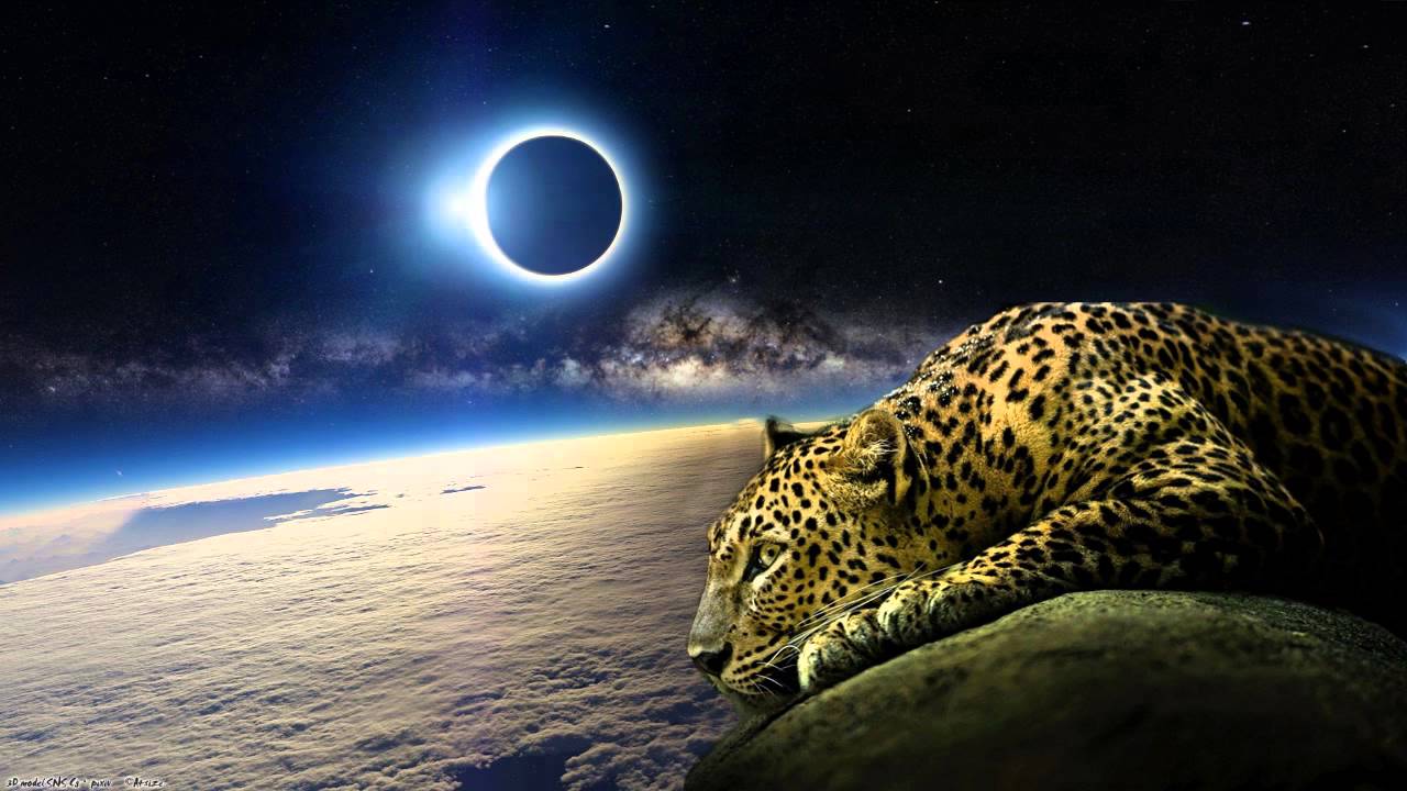 Intro Song Lonzbonz | Mike Williams Konnichiwa