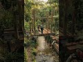 Building a Cozy Forest Tiny House | From Empty Land to Beautiful Cabin