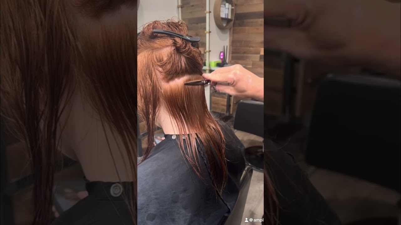 Barracuda 6.2 inch precisioner  premium scissors 