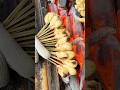 創業400年以上 江戸時代から京都で受け継がれるあぶり餅🍡【京都 かざりや】