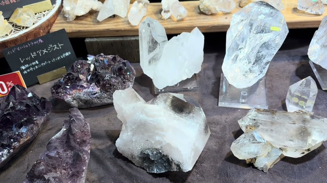 Minerals 番外104: 第2回銀座ミネラルマルシェ. 2026. 1.31. 付入手標本.