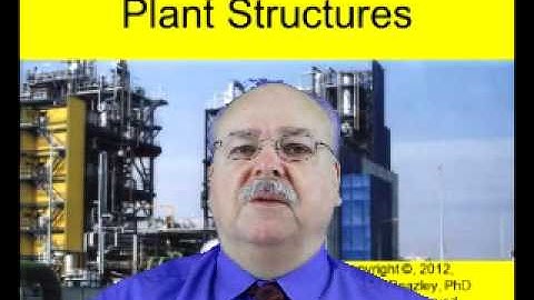 Piping Design Course Topic - Plant Structures