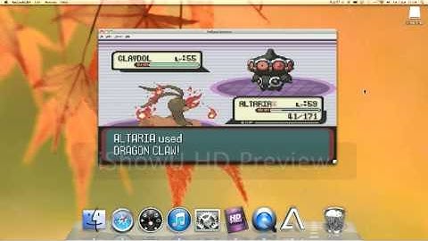 Pokemon Ruby Champion Steven (Old/New)