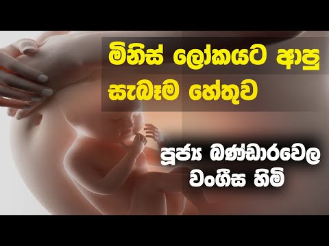 මිනිස් ලෝකයට ආපු සැබෑම හේතුව | Ven Bandarawela Vangeesa Thero