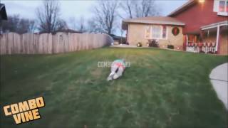 ComboVine#75
