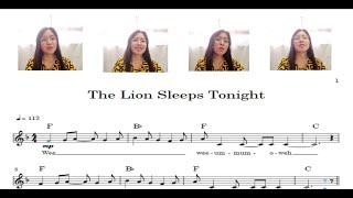 The Lion Sleeps Tonight -Acapella