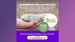 Campanha "Apadrinhe uma castração"