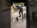 テンションが高い猫好きな飼い主