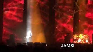 TOOL LIVE COPENHELL 2019