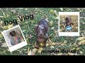 Dog Vlog  делаем фотографии/ Корица стала моделью для бренда?