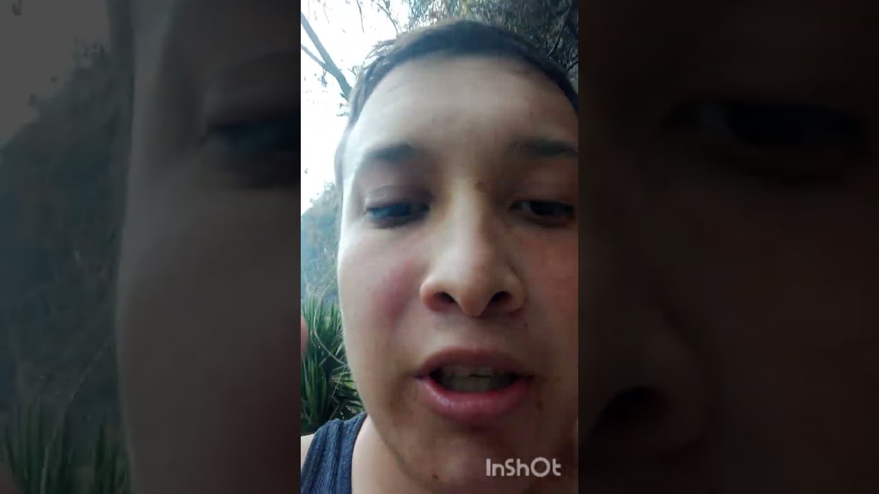 Pues no vendí Paste  Fuy a darme una pequeña vacaciones en las posadas azules un día de relajación