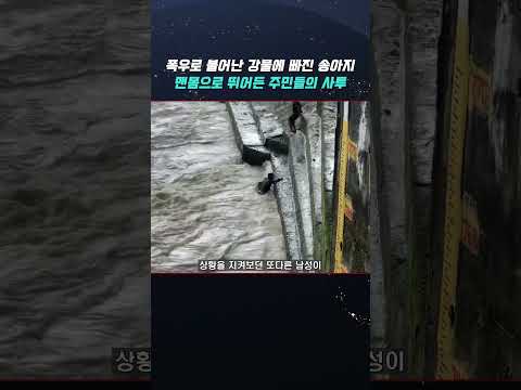 강물에 빠진 송아지, 맨몸으로 뛰어든 주민들의 사투 thumbnail