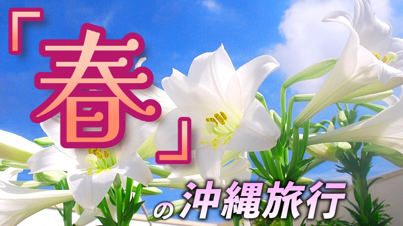 春の沖縄旅行ガイド！気候・服装・楽しみ方まとめ♪