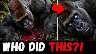 🚨 The ONE Predator That Makes Gorillas RUN