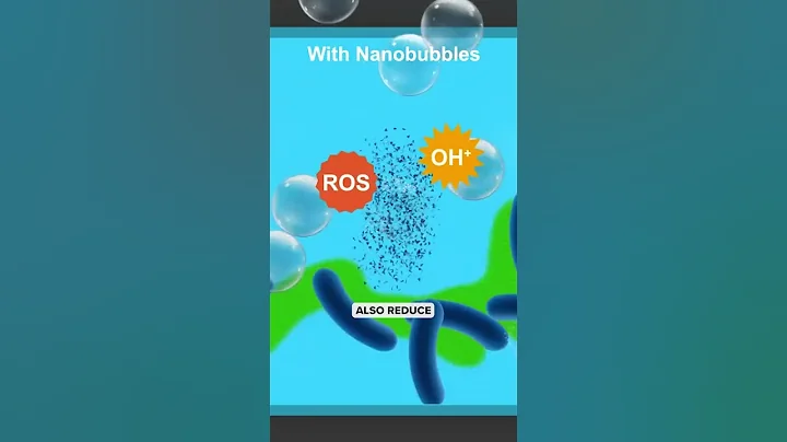 Small Size & Big Power - That's the Benefit of Nanobubbles