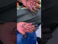 #mehndi #mehandikedesigns #mehandidesignmehandidesign #foryou #foryoupage #dubaihennadesign #henna