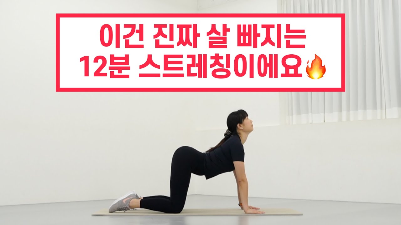 매일 이 스트레칭만 했는데,붓기·피로·몸살이 다 날아갔어요😳!
