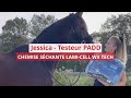 Jessica a testé pour vous : La Chemise séchante Lami-Cell WX Tech
