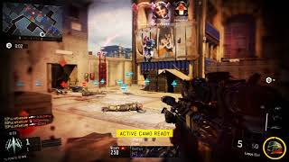 'BEGUN' - Multi-Cod Minitage