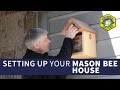 Setting Up Your Mason Bee House