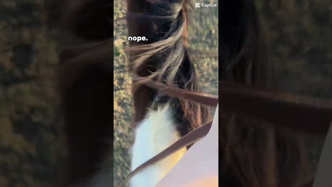 "Ride safe and slow" 