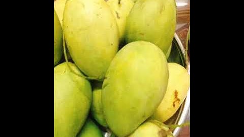 Cách phân biệt xoài cát Hoà Lộc ngon