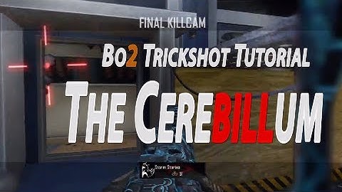 Black Ops 2 Trickshot Tutorial #23 | Cerebillum