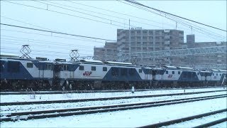 2017年 篠ノ井線EF64「4重単」往路・復路・解結風景