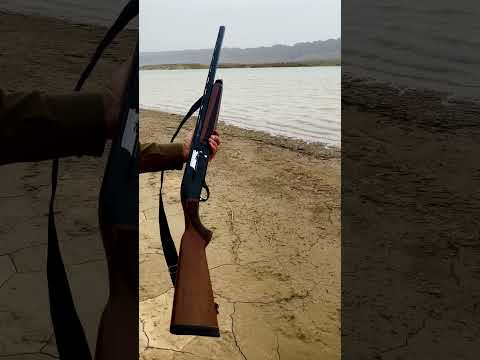 Karal A12 Shotgun Shorts Shotgun