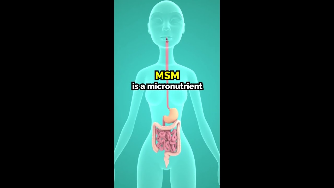 The Benefits Of MSM For Your Body Shorts Naturalhair Sulfur Healthcare Healthtips Health
