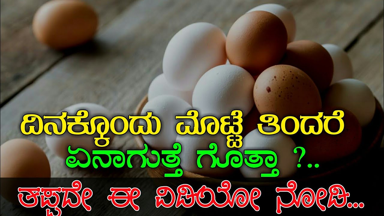 ಮೊಟ್ಟೆ ತಿನ್ನುವ ಪ್ರತಿಯೊಬ್ಬರೂ ಈ ವಿಡಿಯೋ ನೋಡಿ.. BENEFITS OF EATING EGG
