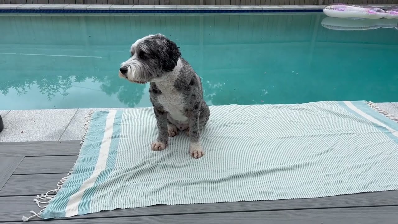 Beautiful Turkish Beach Towels  Sand Repellent, Oversized Extra Large