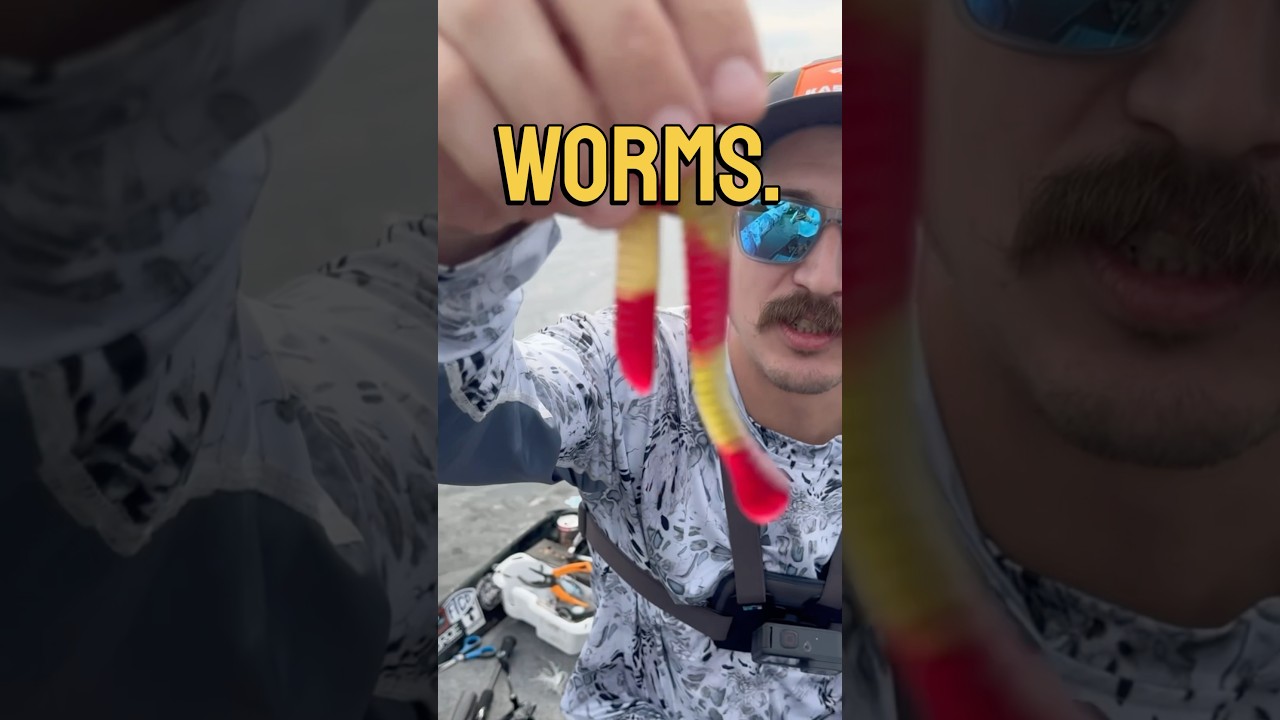 Fishing with Gummy Worms 🪱 