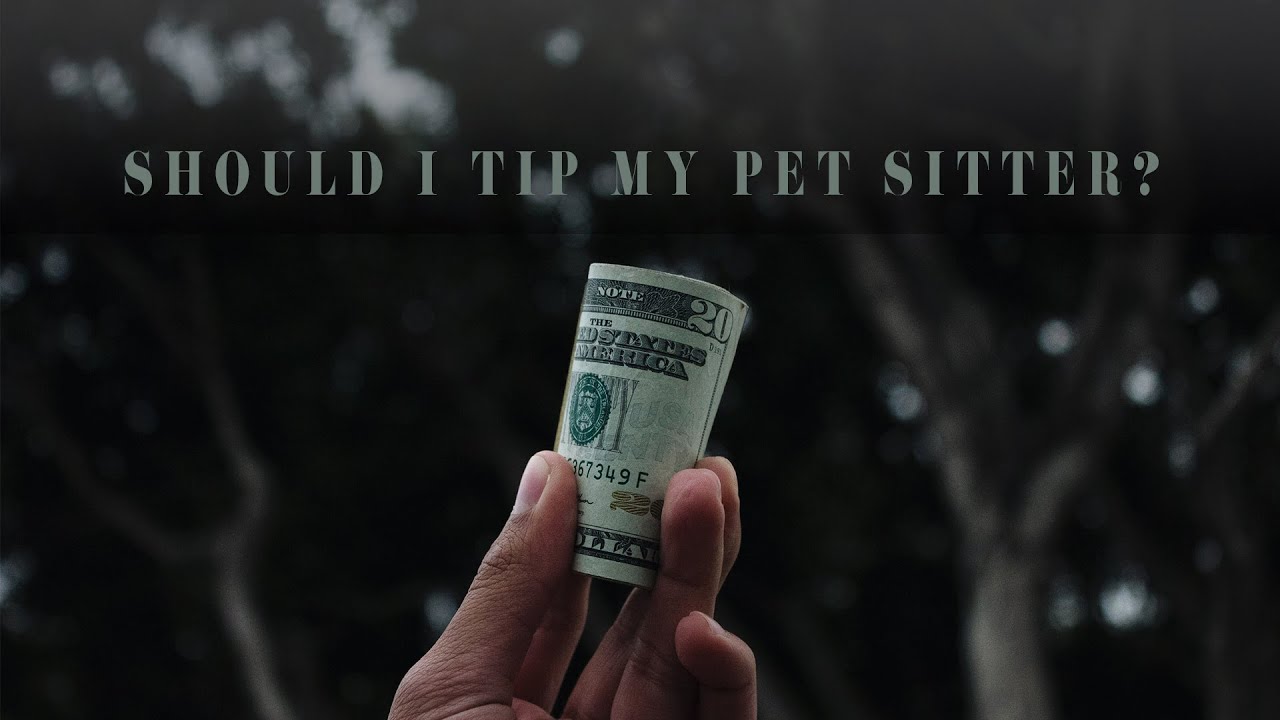 Should I Tip My Pet Sitter?