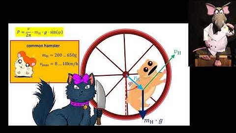 regenerative energy from hamster wheels