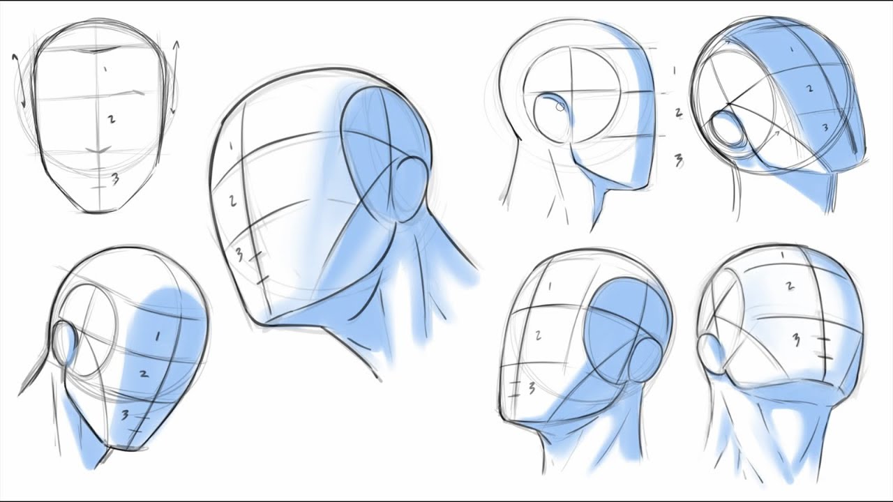 Drawing the head and face from every angle by JJWho - Make better art