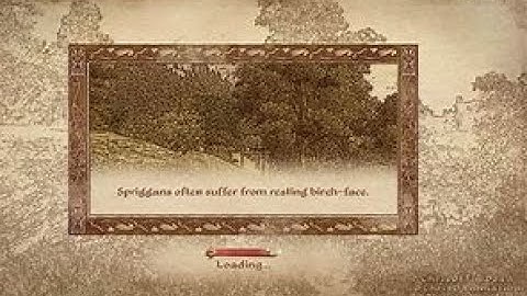 Oblivion Playthrough part 44 with mods- no commentary