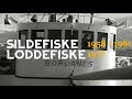 SILDEFISKE 1958 og 1961. Loddefiske 1977. Norglobal i Båtsfjord.
