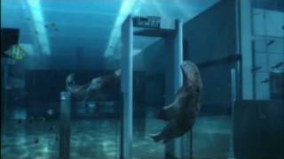 Ba - Aquarium
