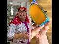 Funny Lifeisbutadream Slime Whowillbemylifepartnerta Humor Haveitoldyoulatelythatiloveyou Funny Lifeisbutadream Slime Whowillbemylifepartnerta Humor Haveitoldyoulatelythatiloveyou