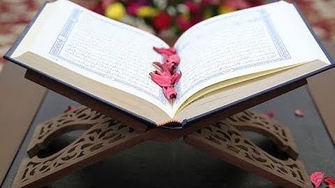 سوره فاتحة مع تجوید