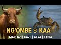 NG OMBE VS KAA SIRI ZA MAPENZI NA MAISHA KATIKA NYOTA