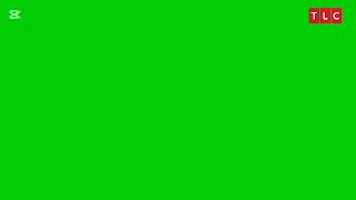 Tlc Ha - Screen Bug Template 2024-Presente