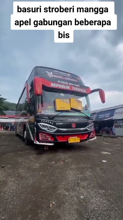 basuri stroberi mangga apel gabungan beberapa bis #bismania #basuri #viral #busmania #teloletviral
