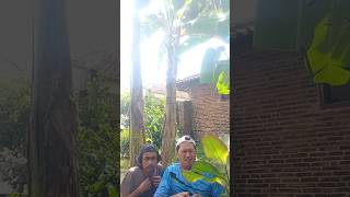 ealahhhhh ternyata cempulek jebul 🤣🤣🤣 #shorts #funny #comedy